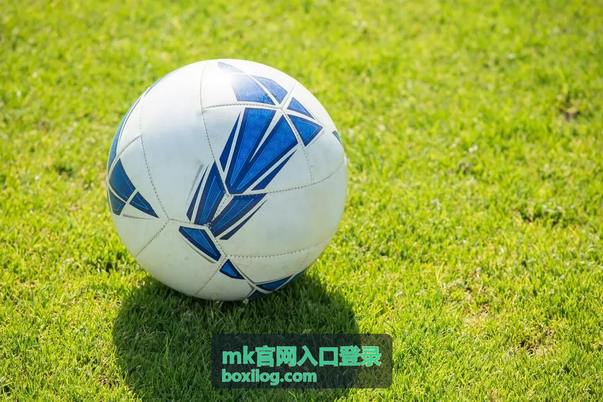 用户在浏览器中访问MK官网入口登录页面